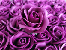 Load image into Gallery viewer, Vanniseep