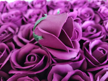 Load image into Gallery viewer, Vanniseep