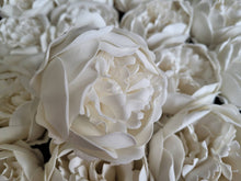 Load image into Gallery viewer, Vanniseep