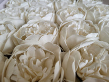 Load image into Gallery viewer, Vanniseep