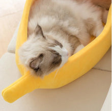 Load image into Gallery viewer, Banaanikujuline pesa