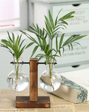 Load image into Gallery viewer, Hüdropooniline vaasikomplekt