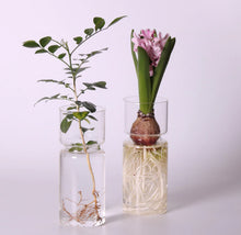 Load image into Gallery viewer, Klaasist hüdropooniline vaas