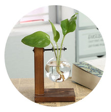 Load image into Gallery viewer, Hüdropooniline vaasikomplekt