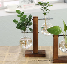 Load image into Gallery viewer, Hüdropooniline vaasikomplekt