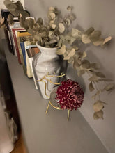 Load image into Gallery viewer, Hüdropooniline vaas põdraga
