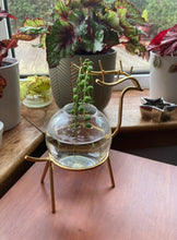 Load image into Gallery viewer, Hüdropooniline vaas põdraga
