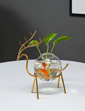 Load image into Gallery viewer, Hüdropooniline vaas põdraga
